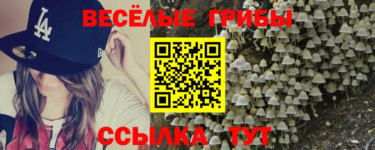 Похвистнево  Галлюциногенные грибы Magic Shrooms  Вход с VPN 