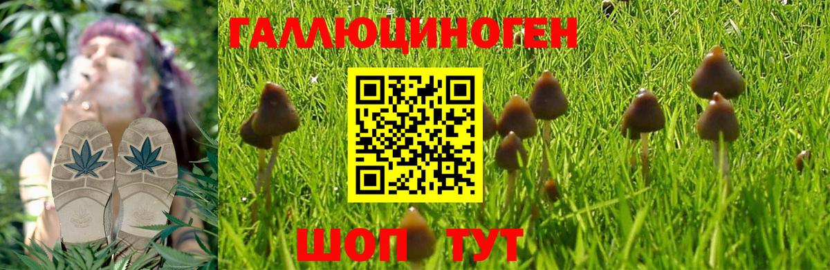 Псилоцибиновые грибы мицелий Похвистнево